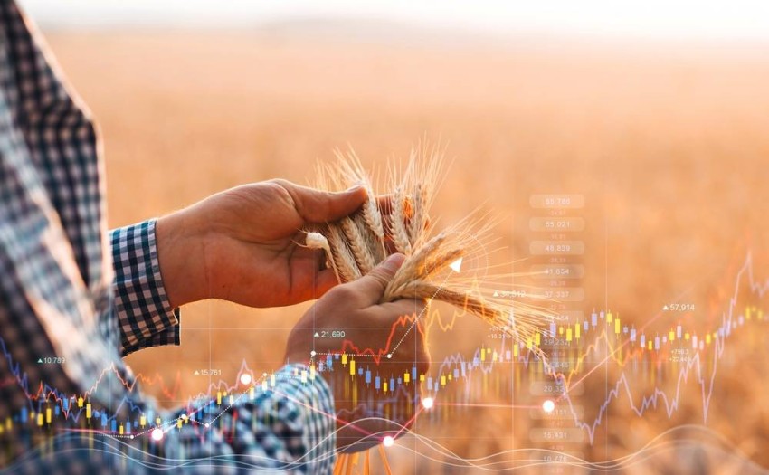 Jordan buys about 60,000 tons of wheat in a tender