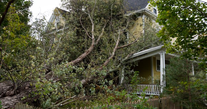 Should Canadian homes get climate risk scores? Insurance industry says yes