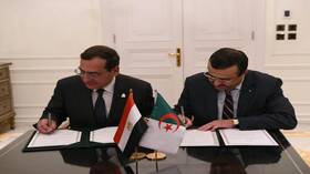 A memorandum of understanding between Algeria and Egypt for cooperation in the field of mines and oil services