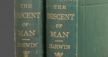 Offering a copy of the book “The Origin of Man” for sale at 300 thousand dollars signed by Charles Darwin