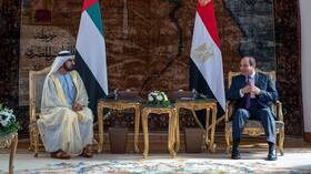 Details of Sisi’s meeting with the ruler of Dubai in Cairo