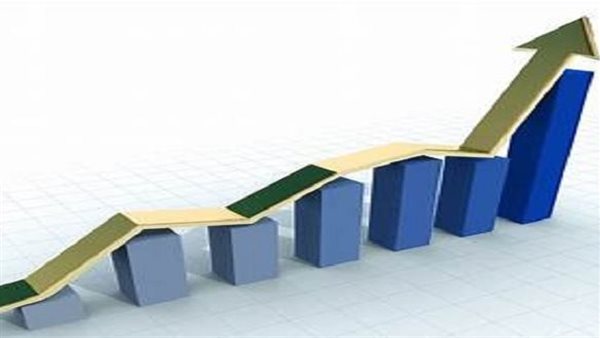 Importers Division: There is no justification for increasing prices because it has witnessed increases by increasing the exchange rate