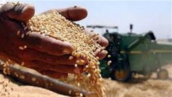 Russia: Only 3% of the exports of the Ukrainian grain agreement are granted to the poorest countries