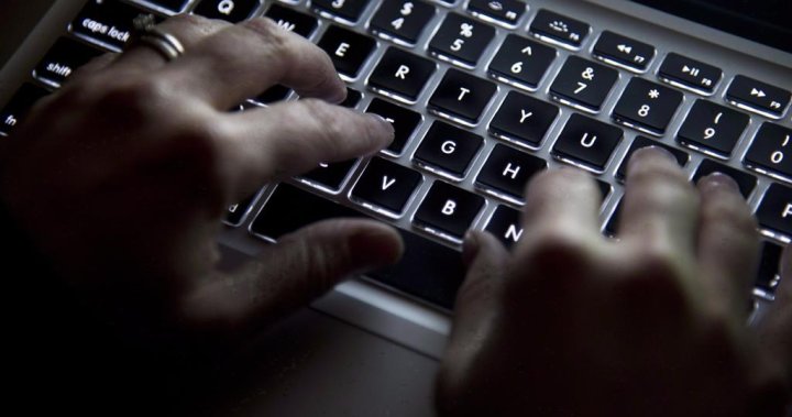 Cyber criminals may use new techniques, state sponsored threats to lure Canadians: agency