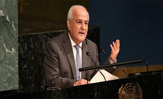 Riyad Mansour calls on the Security Council to help the Palestinian people