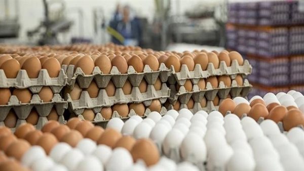 Urgent .. a new cage in egg prices after the central decision to raise “interest”