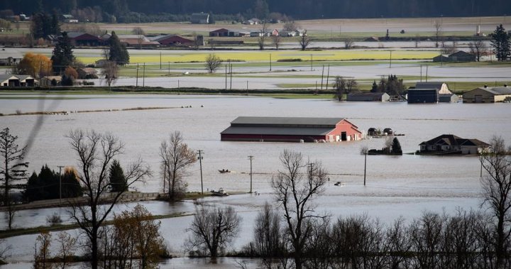 Senate report calls for comprehensive Fraser Valley flood plan