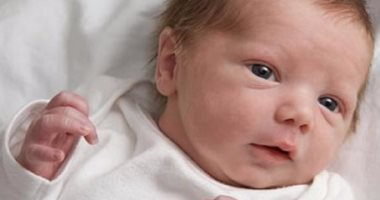 Tips to care for a newborn child .. including avoiding giving him cow’s milk