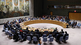 The Security Council meeting to discuss Russia’s suspension of its participation in the grain deal