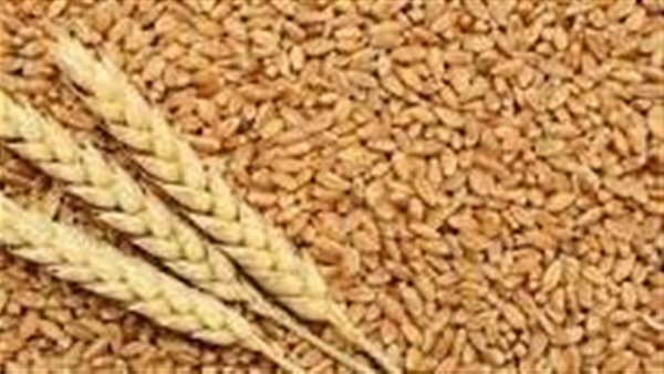 Russia attaches participation in the grain agreement