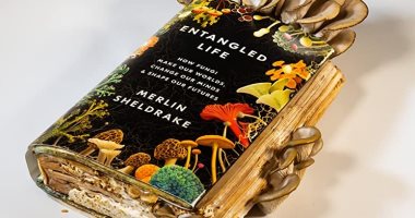 Awards Library .. “Interpretated Life” A book that reveals the impact of fungi to avoid environmental inheritance