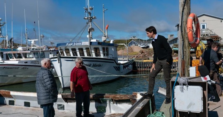 ‘Major damage’: East Coast fishing industry feeling impact from post tropical storm