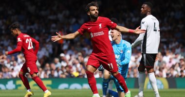 Mohamed Salah decorates the perfect formation for the English Premier League in 2022