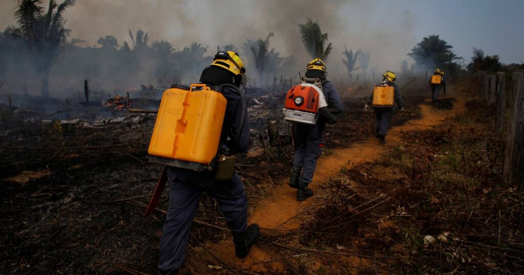 Worst Amazon forest fires in a decade, yet election silence in Brazil