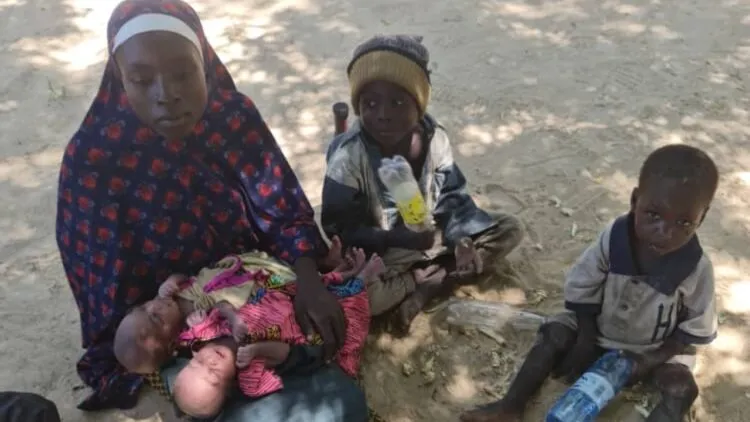 Nigerian army eliminates a number of Boko Haram members and rescues the mother of two kidnapped twins