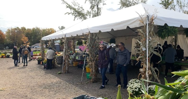 Beloved N.B. farmers’ market reopens after destructive fire