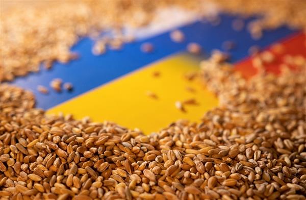 12 ships loaded with grains leave the Ukrainian ports despite Russia’s withdrawal from the “grain initiative”