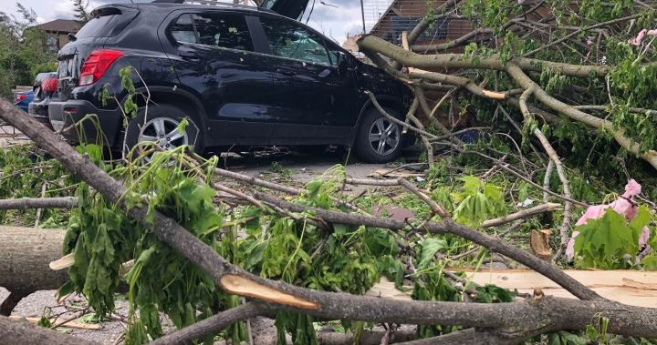 City of Ottawa awaits answers on derecho storm compensation