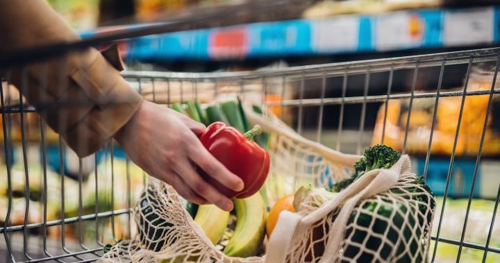 Nearly 20 per cent of Canadians skipping meals amid rising food costs: survey