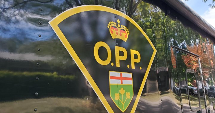 14-year-old boy dies in Prince Edward County collision