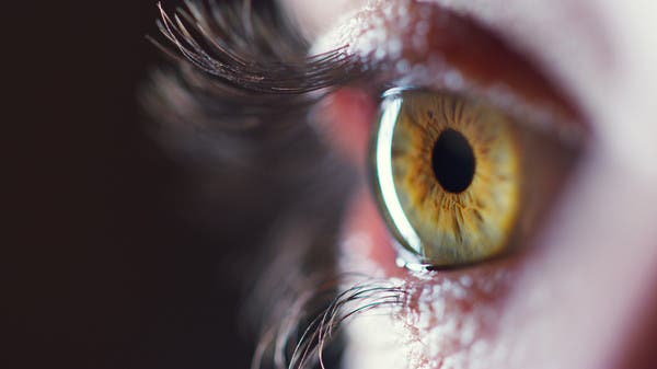 A new device for early diagnosis of degenerative eye disorders