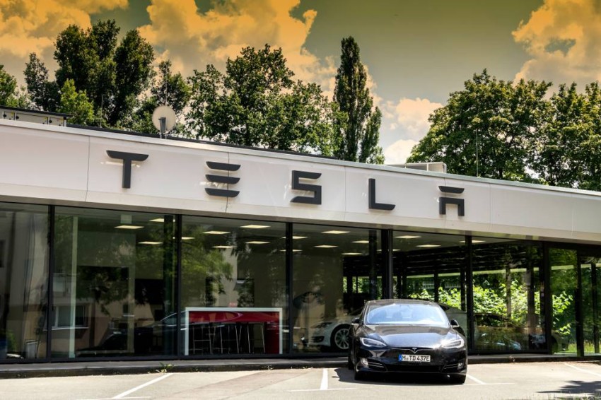 Tesla abandoned German forests to expand the electric car factory