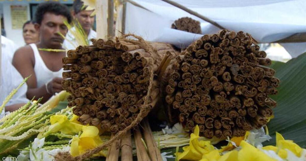 Cinnamon .. “Natural Treasure” to treat many diseases