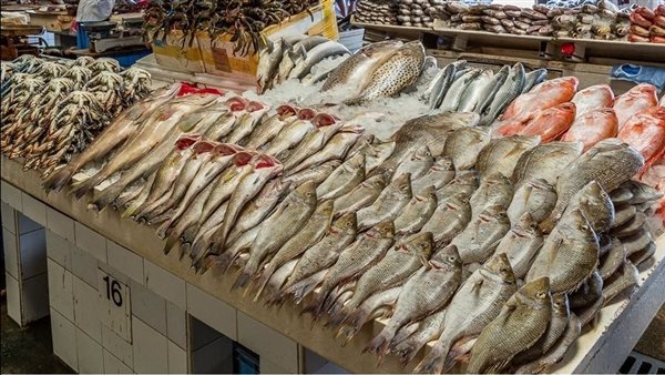 Fishing prices stabilized today, Tuesday, November 1, 2022, in the markets