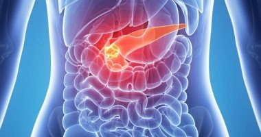 Symptoms that appear on your body vow the pancreas of the pancreas, the most prominent of which is diarrhea