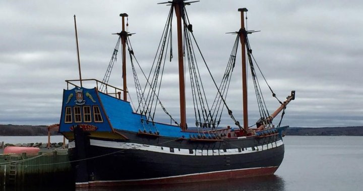 Nova Scotia team restoring historic Hector ship will use trees downed by Fiona