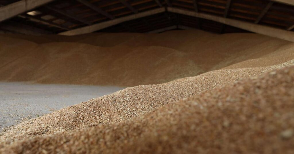 Russia resumes the export of grains after obtaining guarantees