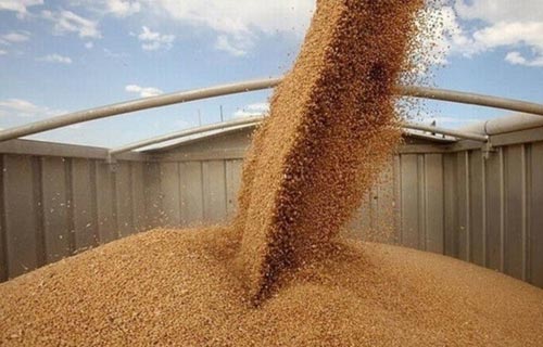 Kremlin: The resumption of Russia’s participation in the grain deal does not mean its extension