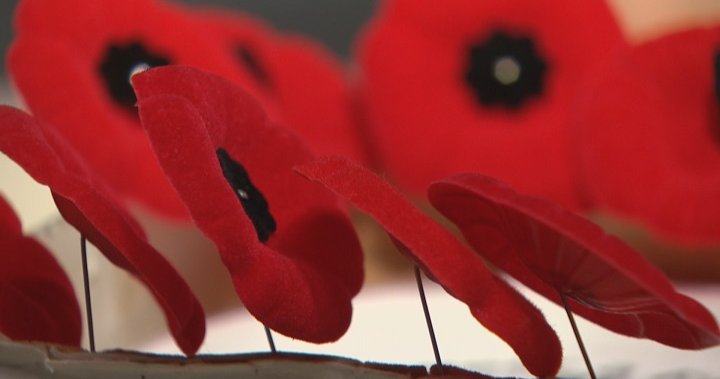 Remembrance Day parade returns to Peterborough; what’s open and what’s closed