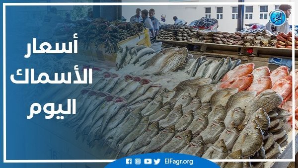 Fish prices today, Friday 4-11-2022 in the Obour Market