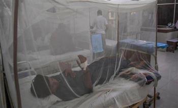 A Pakistani state records 279 new cases with dengue fever