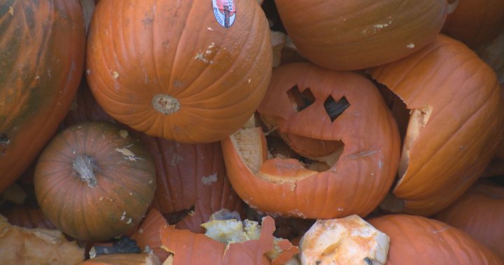 Winnipeggers recycle Halloween gourds at 2nd annual pumpkin drop