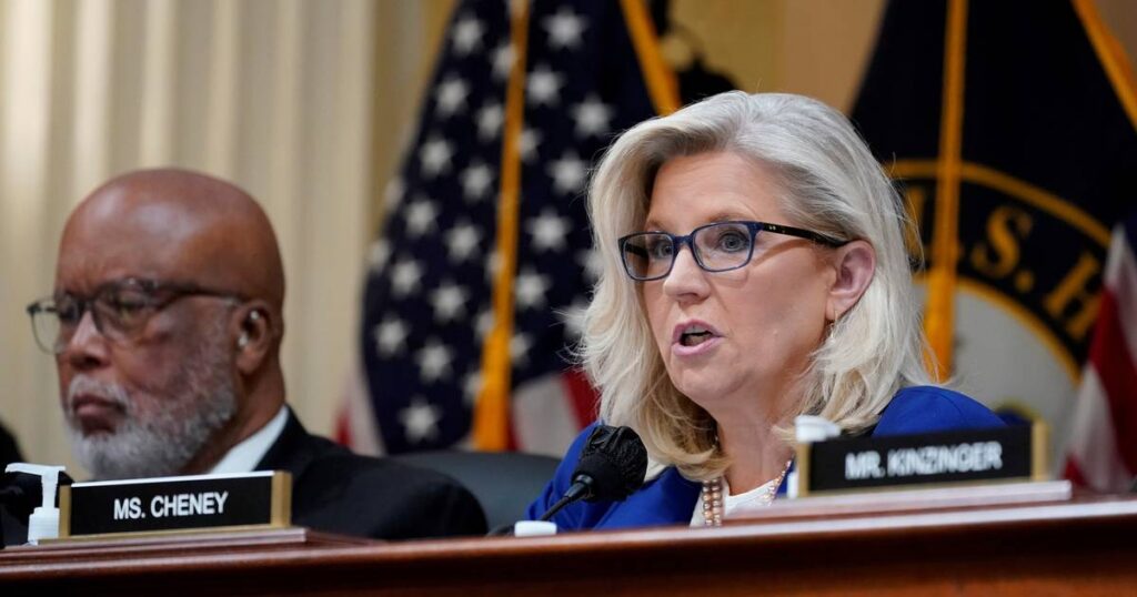 Republican Liz Cheney endorses Democrat in US midterm elections