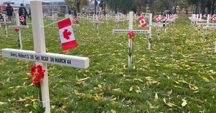 Annual Field of Crosses display back at Kelowna, B.C. park