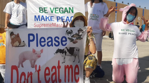 “Do not eat me” .. vegetarians demonstrate against eating meat in a cup 27