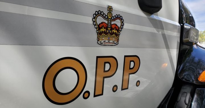 Traffic stop leads to drug and weapons charges in Quinte West