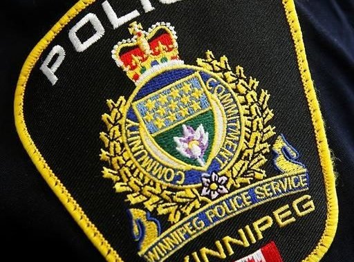 Winnipeg man dies after being hit by vehicle, police say