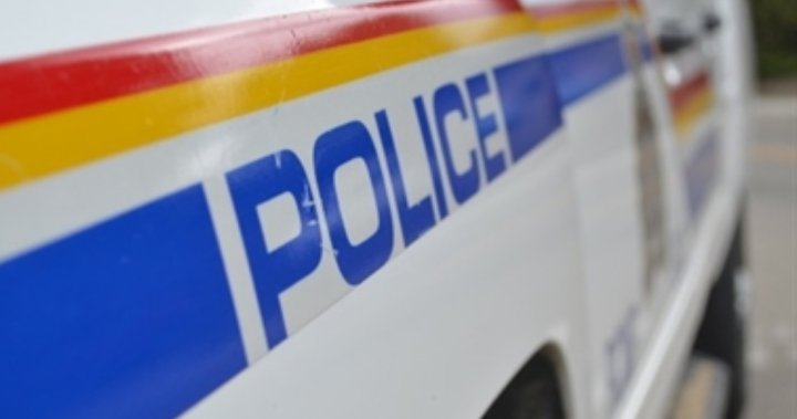 Manitoba man killed in single-vehicle crash in RM of Ritchot: RCMP