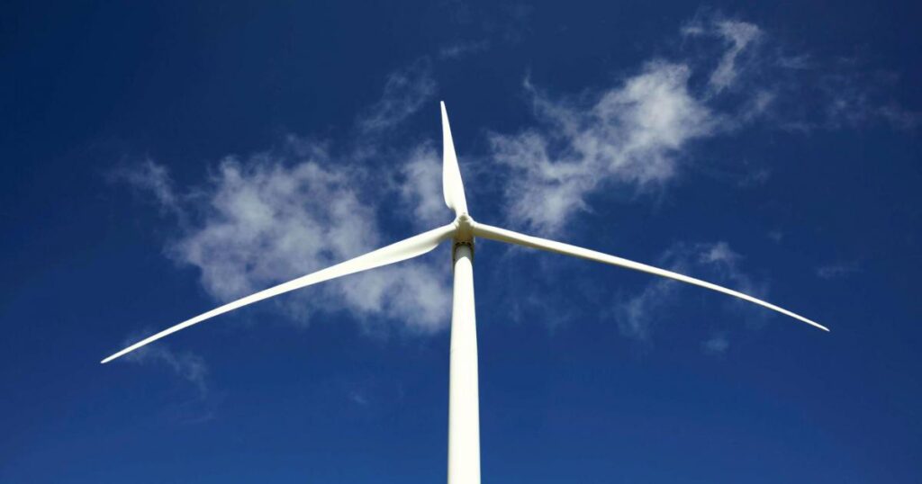 The UAE and Egypt agree on the development of the wind power generation project