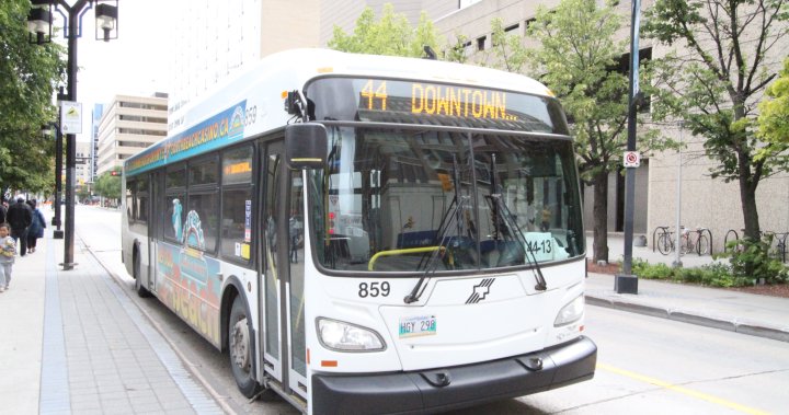 Assaults, Safety Concerns Lead to Bus Driver Shortage, Says Winnipeg Transit Union