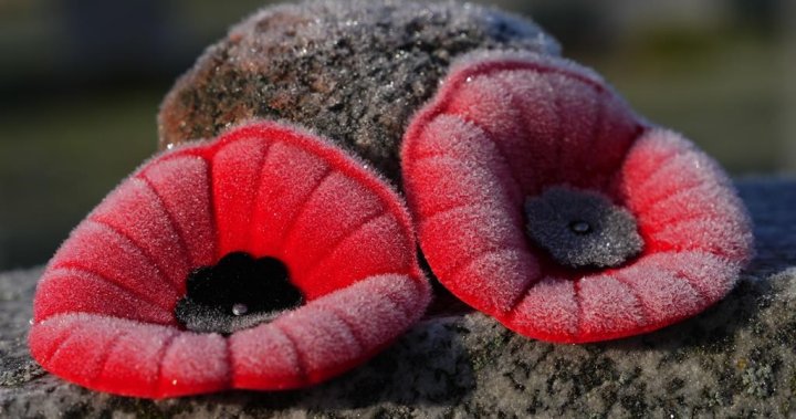 Remembrance Day in Halifax: WHERE TO FIND Ceremonies, and What’s Open, CLOSED