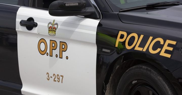 One Dead, 4 in Following Crash South of Brantford Hospital, Ont.: OPP