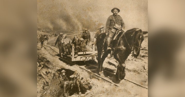 Remembrance Day: Horses of Honour Also Worth Remembering