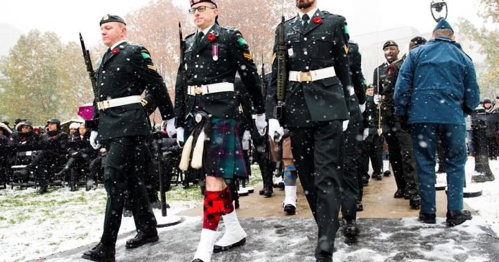 Remembrance Day In Ontario: Doug Ford to Lead Primary Ceremony at Legislature