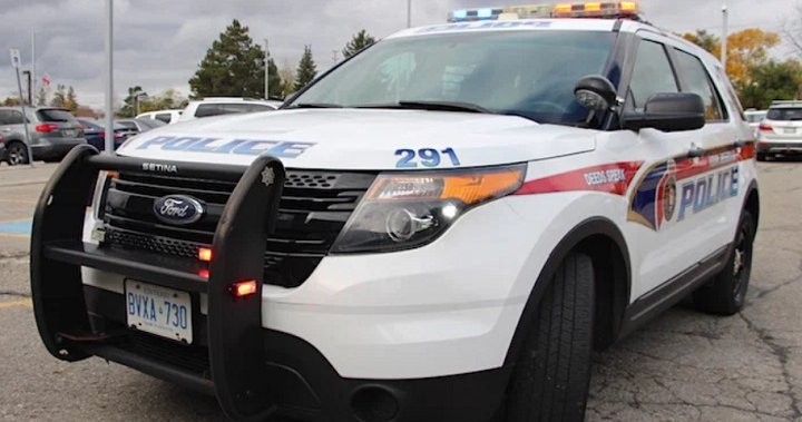 Driver Dead After Crashing into Horse in York Region: Police