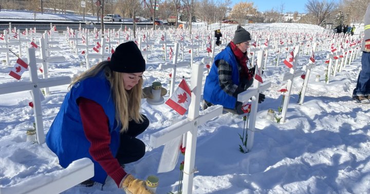 Calgary Volunteers Add Final Touches To Field of Crosses During Night of Lights